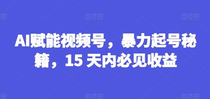 AI赋能视频号，暴力起号秘籍，15 天内必见收益【揭秘】-云享网创