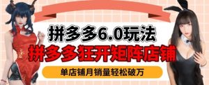 拼多多虚拟商品暴利6.0玩法,轻松实现月入过W-云享网创