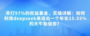 付费文章：吊打97%的权益基金，实操详解：如何利用deepseek来选出一个年化15.55%的大牛股组合?-云享网创