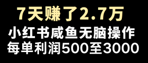 全网首发，7天赚了2.6万，2025利润超级高！-云享网创