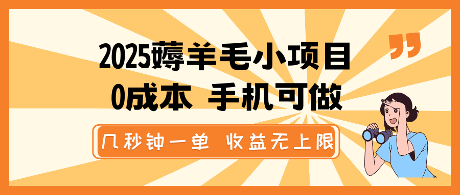 2025薅羊毛小项目，0成本 手机可做，几秒钟一单，收益无上限-云享网创