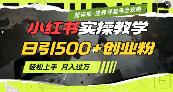 2月小红书最新日引500+创业粉实操教学【超详细】小白轻松上手，月入1W+，附小红书养号起号SOP-云享网创