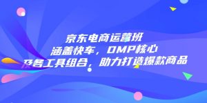 京东电商运营班：涵盖快车，DMP核心及各工具组合，助力打造爆款商品-云享网创