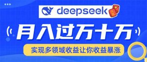 用DeepSeek席卷各大平台，快速上手实现多领域，让你收入猛增-云享网创