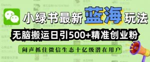 小绿书无脑搬运引流，全自动日引500精准创业粉，微信生态内又一个闷声发财的机会-云享网创