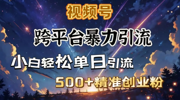 跨平台暴力引流，私域完美闭环，日引500+精准创业粉-云享网创