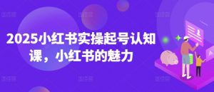 2025小红书实操起号认知课,小红书的魅力-云享网创