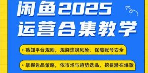 2025闲鱼电商运营全集,2025最新咸鱼玩法-云享网创