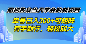 照抄答案当天学会的新项目，单号日入300 +可矩阵，有手就行，轻松放大-云享网创
