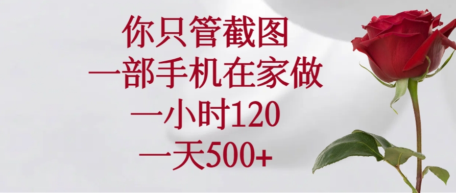 你只管截图，一部手机在家做，一小时120，一天500+-云享网创