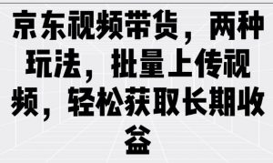 京东视频带货,两种玩法,批量上传视频,轻松获取长期收益-云享网创