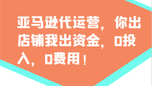 亚马逊代运营，你出店铺我出资金，0投入，0费用，无责任每天300分红，赢亏我承担-云享网创