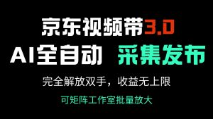 京东视频带货3.0，Ai全自动采集＋自动发布，完全解放双手，收入无上限…-云享网创