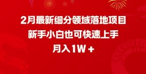 2月最新细分领域落地项目,新手小白也可快速上手,月入1W-云享网创