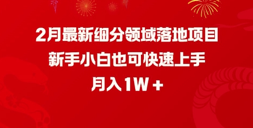 2月最新细分领域落地项目，新手小白也可快速上手，月入1W-云享网创