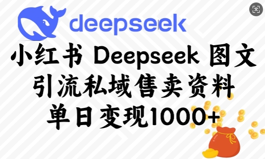 小红书Deepseek图文引流私域售卖资料，单日变现多张-云享网创