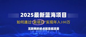 2025最新蓝海项目,零门槛轻松复制,月入10万+,新手也能操作!-云享网创