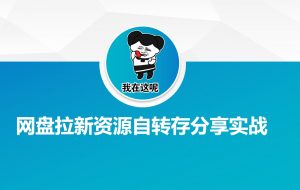 网盘拉新资源自动转存分享实战-云享网创