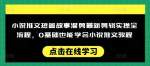 小说推文短篇故事混剪最新剪辑实操全流程，0基础也能学会小说推文教程，肯干多发日入多张-云享网创