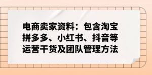 电商卖家资料：包含淘宝、拼多多、小红书、抖音等运营干货及团队管理方法-云享网创