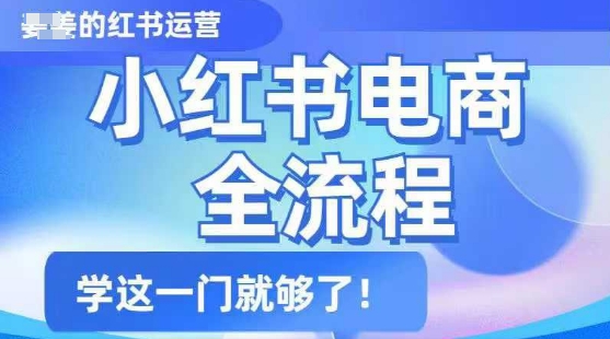 小红书电商全流程，精简易懂，从入门到精通，学这一门就够了-云享网创