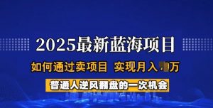 2025蓝海项目，普通人如何通过卖项目，实现月入过W，全过程【揭秘】-云享网创