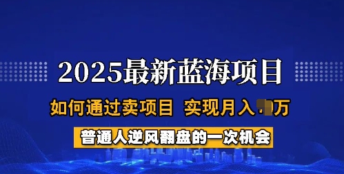 2025蓝海项目，普通人如何通过卖项目，实现月入过W，全过程【揭秘】-云享网创