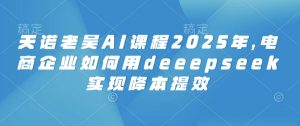 天诺老吴AI课程2025年，电商企业如何用deeepseek实现降本提效-云享网创