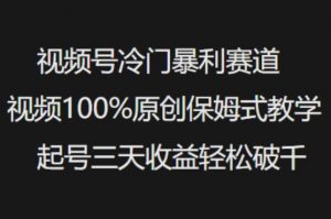 视频号冷门暴利赛道视频100%原创保姆式教学起号三天收益轻松破千-云享网创