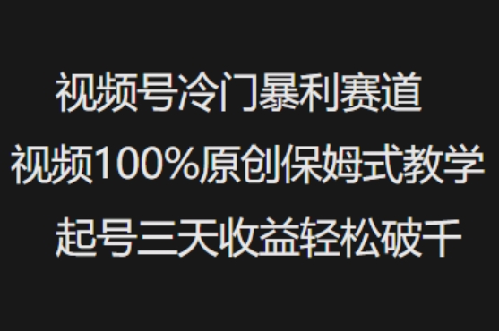 视频号冷门暴利赛道视频100%原创保姆式教学起号三天收益轻松破千-云享网创
