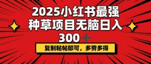 2025小红书最强种草项目，无脑日入300+，复制粘帖即可，多劳多得-云享网创