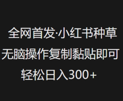 全网首发，小红书种草无脑操作，复制黏贴即可，轻松日入3张-云享网创