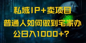 私域IP+卖项目，普通人如何做到宅家办公实现日入1000+-云享网创