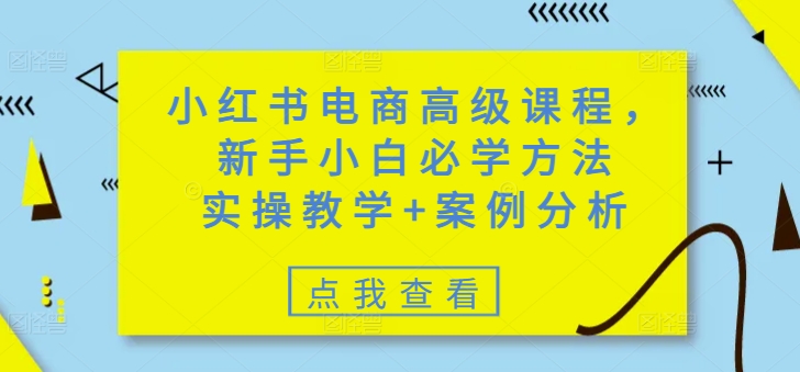 小红书电商高级课程，新手小白必学方法，实操教学+案例分析-云享网创