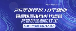 25年推荐这10个副业项目包含褂鸡类、代运营托管类、全自动打金类【揭秘】-云享网创