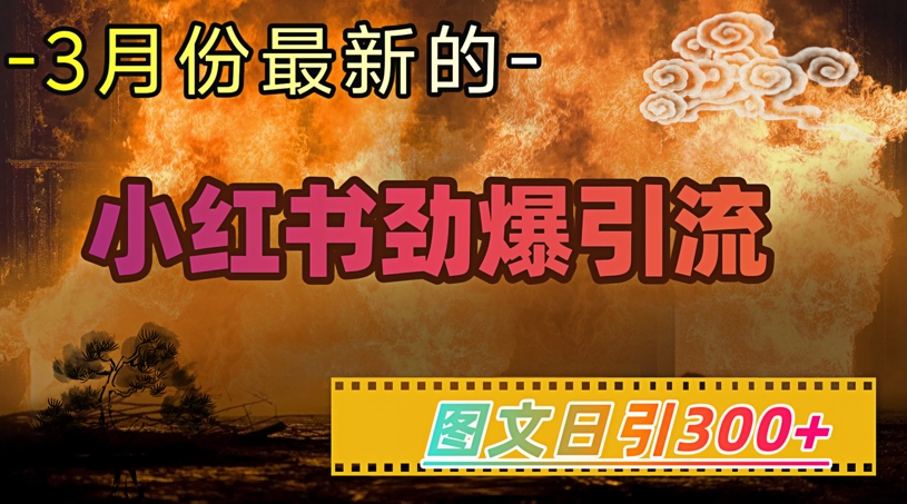 小红书超劲爆引流手段，图文日引300+轻松变现1W-云享网创