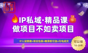 2025年“IP私域·密训精品课”，日赚3000+小白避坑年赚百万，暴力引流…-云享网创