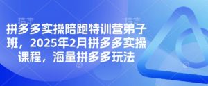 拼多多实操陪跑特训营弟子班,2025年2月拼多多实操课程,海量拼多多玩法-云享网创