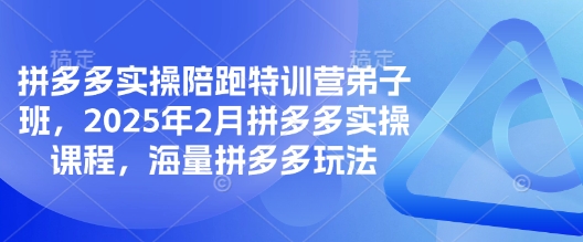 拼多多实操陪跑特训营弟子班，2025年2月拼多多实操课程，海量拼多多玩法-云享网创