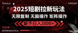 2025短剧拉新玩法，无需注册登录，无限0撸，无脑批量操作日入2000+-云享网创