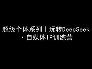 超级个体系列，玩转DeepSeek·自媒体IP训练营，deepseek教程-云享网创