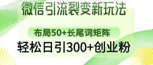 微信引流裂变新玩法：布局50+长尾词矩阵，轻松日引300+创业粉-云享网创