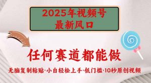 2025年视频号新风口，低门槛只需要无脑执行-云享网创