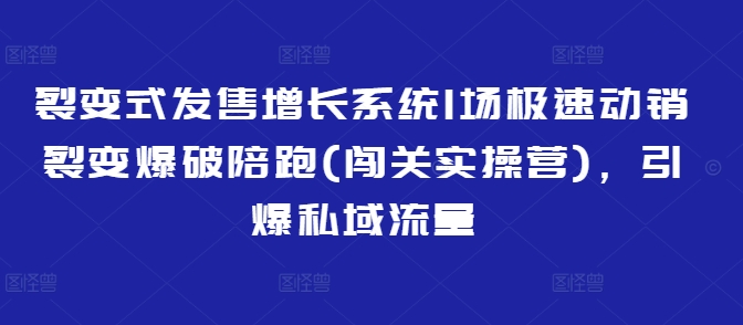 裂变式发售增长系统1场极速动销裂变爆破陪跑(闯关实操营)，引爆私域流量-云享网创