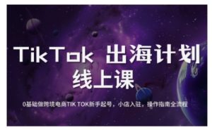 TikTok跨境电商新手起号与运营全攻略，0基础做跨境电商TIKTOK新手起号，小店入驻，操作指南全流程-云享网创