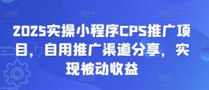 2025实操小程序CPS推广项目,自用推广渠道分享,实现被动收益-云享网创