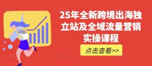 25年全新跨境出海独立站及全域流量营销实操课程，跨境电商独立站TIKTOK全域营销普货特货玩法大全-云享网创