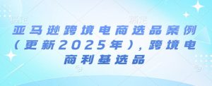 亚马逊跨境电商选品案例(更新2025年3月),跨境电商利基选品-云享网创