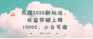 书旗2025新玩法，收益突破上限10000，小白可做-云享网创