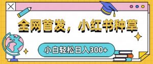 小红书种草，手机项目，日入3张，复制黏贴即可，可矩阵操作，动手不动脑【揭秘】-云享网创
